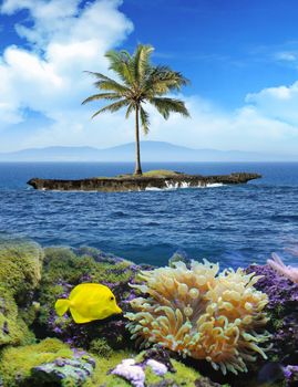 Beautiful island with palm trees and yellow fish underwater