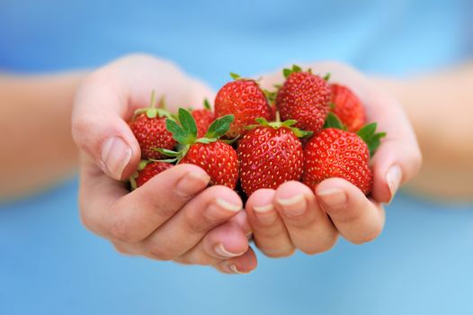 Close-up hands holding fresh strawberries