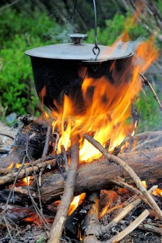 Cooking in the nature. Cauldron on fire in forest