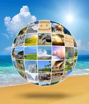 Nature photo (animal, landscape, beach). Collage background