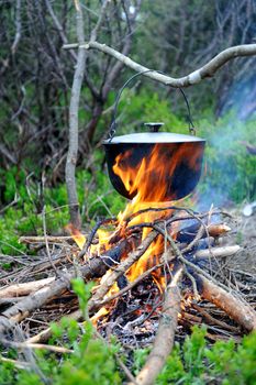 Cooking in the nature. Cauldron on fire in forest