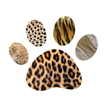 Wild animal footprint on white bacghround. Five animal skin texture