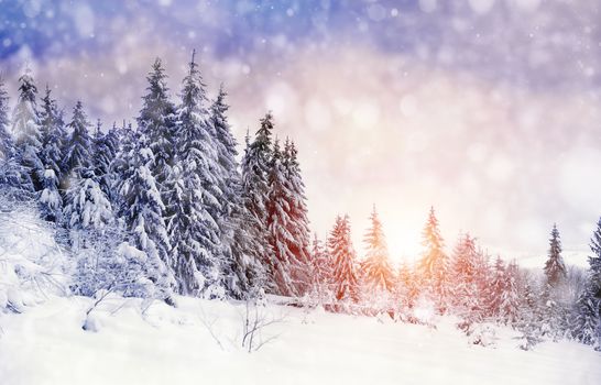 Beautiful winter landscape with snow covered trees