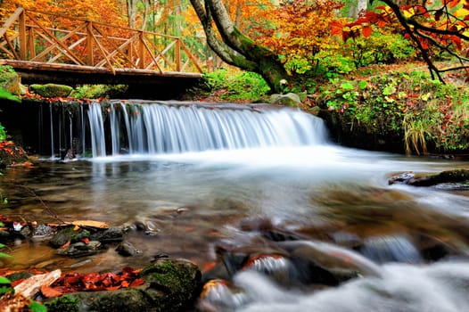 Beautiful waterfall in forest, autumn landscape
