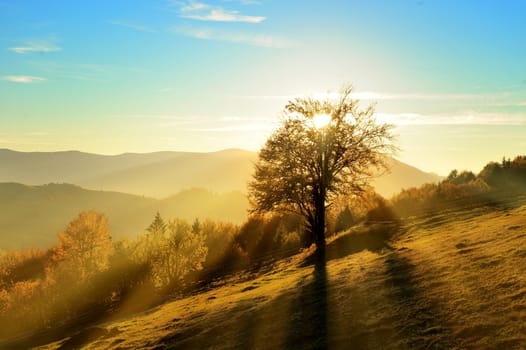 Mountain autumn landscape with colorful forest 