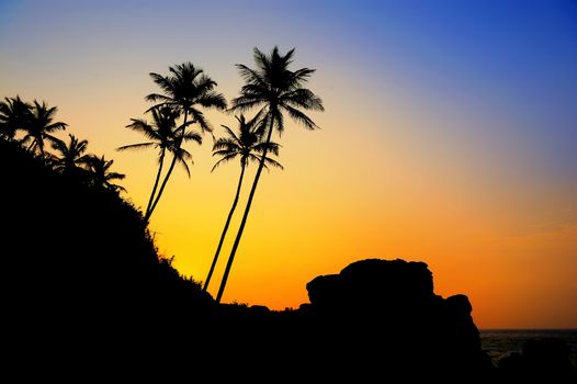 Beautiful tropical sunset with palm trees at beach