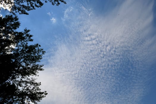 Nice summer day with huge clouds on the blue sky
