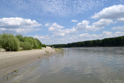 Summer hot on the Danube islands
Fishing spots, beach places, how much rest and relaxation.