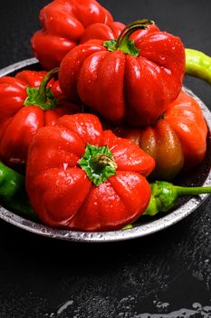 Red bell pepper, and spices on dark background