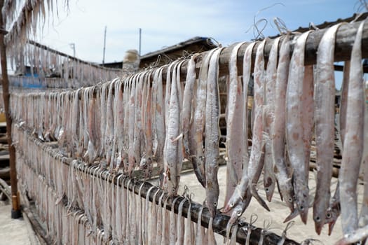 Seafood at Ca Mau fishing village, Mekong Delta, Vietnam. Dried fish is popular Vietnamese food, can store for long time