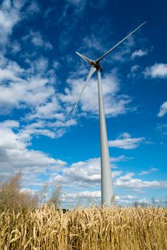 A wind turbine in a wheat crop