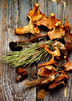 Arrangement of Various Dried Mushrooms with Forest Chanterelles, Porcini, Boletus Mushrooms and Dry Grass, Stems and Leafs closeup in Rustic Wooden background