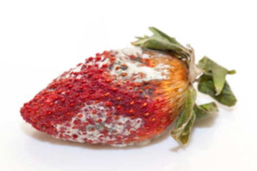 photographed red ripe strawberries, covered with white mold, spoiled strawberries closeup, defocus