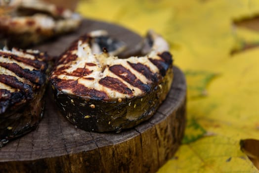 fish steaks fried on the grill lying on tree trunk against the yellow maple leaves