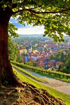 Green capital of Europe 2016 Ljubljana aerial vertical view with tree, Slovenia