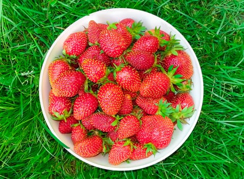 Delicious ripe strawberries in the home plate among green grass , there are pictures of this series