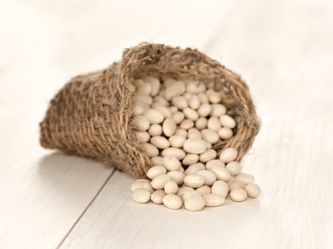 Close up white beans on white wooden table. Macro shoot with selective focus. Shallow DOF