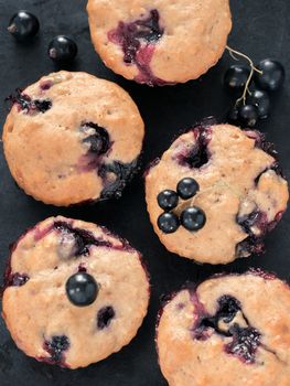 Muffins with black currant on dark background close up. Top view or flat lay