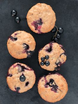 Muffins with black currant on dark background close up. Top view or flat lay