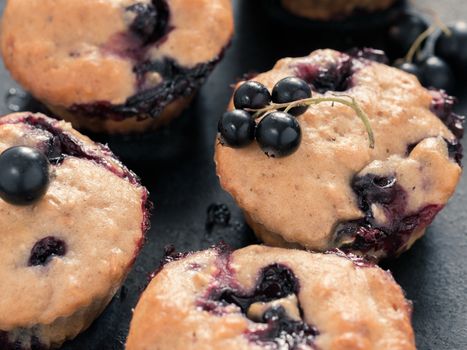 Muffins with black currant on dark background close up. Selective focus