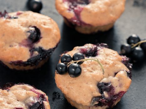 Muffins with black currant on dark background close up. Selective focus