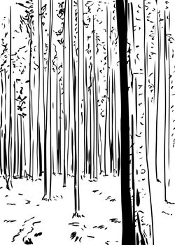 Outlined freehand illustration of forest wilderness background with tall trees
