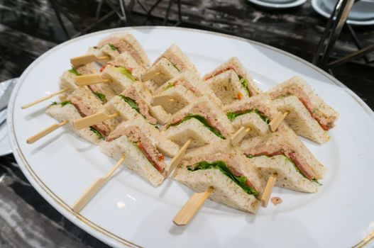 Club Sandwich with Tuna in Plate, Ready to Serve