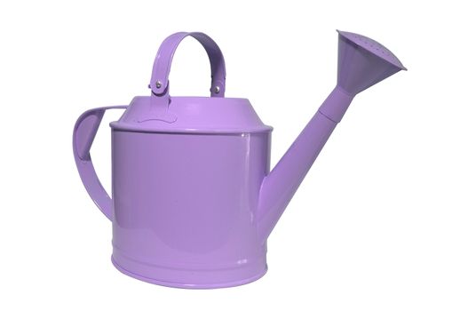 Purple, violet watering can, pot on white background