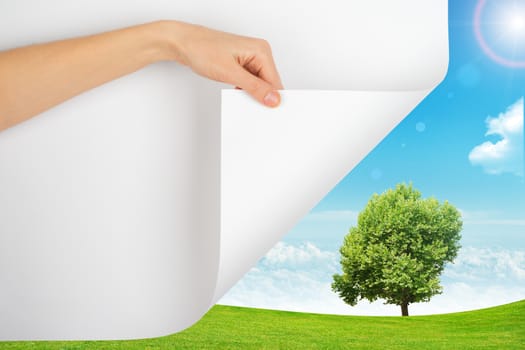 Hand turning page with nature background with tree