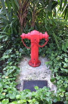 Red fire hydrant among tree and plant