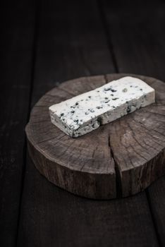 white cheese with green mold on tree trunk wood