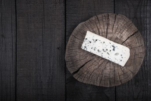 white cheese with green mold on tree trunk wood