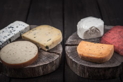 many kinds of cheeses on wooden end of a tree