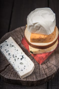 many kinds of cheeses on wooden end of a tree