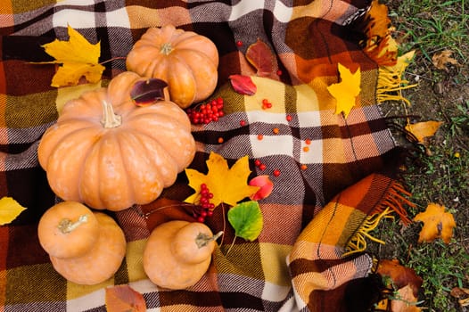 Romantic autumn still life with blanket, pumpkins and leaves, top view