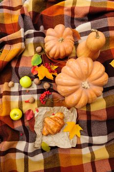 Romantic autumn still life with blanket, cake, pumpkins, croissant and leaves, top view