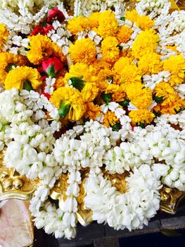 white jasmine for praying