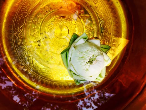 white lotus floating on water in golden bowl  