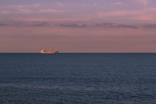 Seascape with a merchant ship in the background