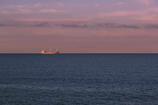 Seascape with a merchant ship in the background