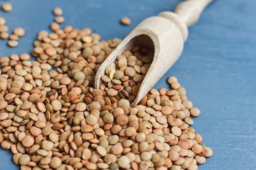 raw lentils on a wooden spoon on a blue background