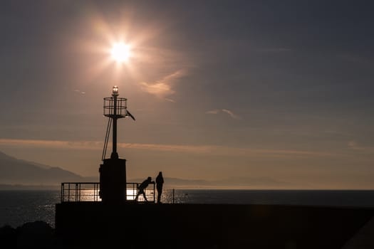 Coastal landscape with lighthouse in backlight in the morning with people in relaxation