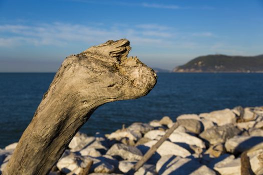 Close up view of a piece of wood that has the shape of prehistoric animal with sea and mountains in the background