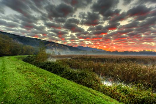 View of a portion of the swamp with the path at dawn