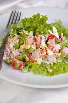 plate of salad with ham and egg and vegetables flavored   milk sauce