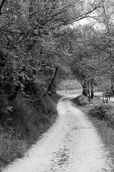 View of a clipping path for pilgrims in black & white