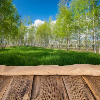 Empty wooden table with landscape background