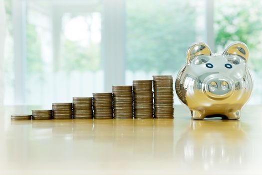 box saving piggy with coins isolated 