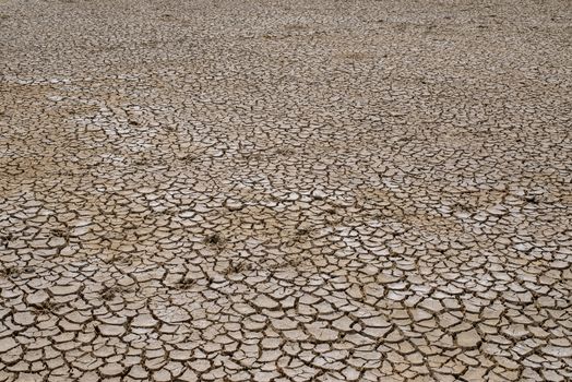 Crack soil on dry season, Global warming / cracked dried mud / Dry cracked earth background / The cracked ground, Ground in drought, Soil texture and dry mud, Dry land.