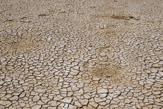 Crack soil on dry season, Global warming / cracked dried mud / Dry cracked earth background / The cracked ground, Ground in drought, Soil texture and dry mud, Dry land.